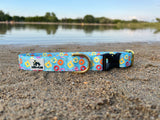 Summer 2025 Pool Floaties, Pool Toys Dog Collar, Fun Summer Dog Collar, Water Resistant Dog Collar