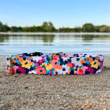 Summer 2025 Painted Florals Dog Collar, Summer Floral Dog Collar, Water Resistant Floral Dog Collar