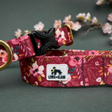 Meadowlark Floral - Autumn Equinox Collection 2023