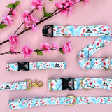 Spring 2025, Cherry Blossom Dog Collar, Spring Cherry Blossoms, Spring Dog Collar