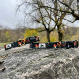 Autumn 2025 Forest in Autumn Dog Collar, Autumn Dog Collar, Scenery Dog Collar