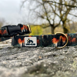 Autumn 2025 Forest in Autumn Dog Collar, Autumn Dog Collar, Scenery Dog Collar
