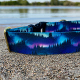 Summer 2025 Northern Nights Dog Collar, Northern Lights Collar, Aurora Borealis Collar, Wildfire Relief