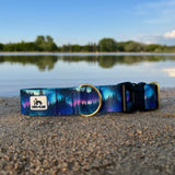 Summer 2025 Northern Nights Dog Collar, Northern Lights Collar, Aurora Borealis Collar, Wildfire Relief