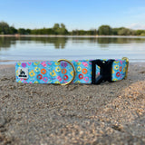 Summer 2025 Pool Floaties, Pool Toys Dog Collar, Fun Summer Dog Collar, Water Resistant Dog Collar