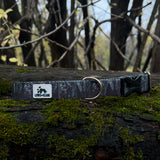 Autumn 2025 Haunted Forest Dog Collar, Spooky Dog Collar, Halloween Dog Collar