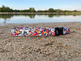 Summer 2025 Painted Florals Dog Collar, Summer Floral Dog Collar, Water Resistant Floral Dog Collar