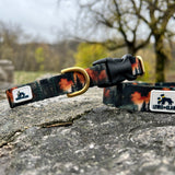 Autumn 2025 Forest in Autumn Dog Collar, Autumn Dog Collar, Scenery Dog Collar