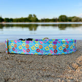 Summer 2025 Pool Floaties, Pool Toys Dog Collar, Fun Summer Dog Collar, Water Resistant Dog Collar