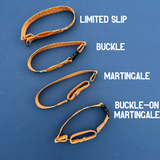 Fall Fungi Dog Collar - Autumn Equinox Collection 2023