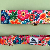 Summer 2023: Embroidered Summer Florals Dog Collar, Water Resistant Dog Collar, Summer Dog Collar