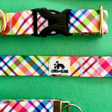 Spring 2023 LakeLife: Rainbow Plaid Dog Collar, Water Resistant Dog Collar, Adventure Dog Collar