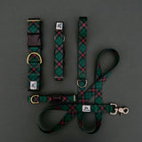TUNDRA Evergreen Plaid Dog Collar, Green Plaid Dog Collar, Christmas Dog Collar
