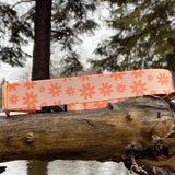 Spring 2022 Lake Life: May Flowers, daisy dog collar, Spring Dog Collar, Water Resistant Dog Collar, dog collar available in 3/4, 1" and 1.5"