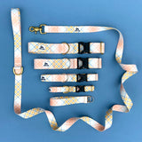 Spring 2022 LakeLife: Buttercup Plaid, Spring dog collar, water resistant dog collar, available in 3/4, 1" and 1.5"