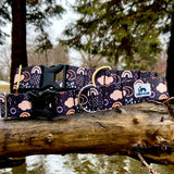 Spring 2022 LakeLife: April Showers, Spring Dog Collar, Water Resistant Dog Collar, 1" and 1.5"