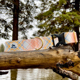 Spring 2022 LakeLife: Buttercup Plaid, Spring dog collar, water resistant dog collar, available in 3/4, 1" and 1.5"