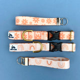 Spring 2022 Lake Life: May Flowers, daisy dog collar, Spring Dog Collar, Water Resistant Dog Collar, dog collar available in 3/4, 1" and 1.5"