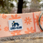Spring 2022 Lake Life: May Flowers, daisy dog collar, Spring Dog Collar, Water Resistant Dog Collar, dog collar available in 3/4, 1" and 1.5"