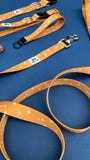 Pumpkin Spice: Autumn Equinox Collection 3/4", 1" and 1.5" widths, Water Resistant Adventure Dog Collar