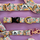 Spring 2023 LakeLife: Butterfly Garden Dog Collar, Water Resistant Dog Collar, Adventure Dog Collar