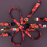 Olive Branch Floral, Autumn Equinox Collection: 1" and 1.5"widths, floral dog collar, adventure dog collar, water resistant dog collar.