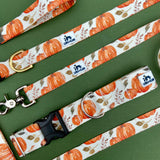 Pumpkin Patch, Autumn Equinox Collection: 1" and 1.5" widths, pumpkin dog collar, Fall dog collar, water resistant dog collar.