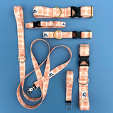 Spring 2022 Lake Life: May Flowers, daisy dog collar, Spring Dog Collar, Water Resistant Dog Collar, dog collar available in 3/4, 1" and 1.5"