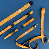 Pumpkin Spice: Autumn Equinox Collection 3/4", 1" and 1.5" widths, Water Resistant Adventure Dog Collar