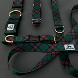 TUNDRA Evergreen Plaid Dog Collar, Green Plaid Dog Collar, Christmas Dog Collar