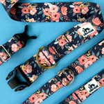 Summer LakeLife: English Garden Floral LakeLife Dog Collar, Floral Adventure Dog Collar