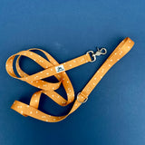 Pumpkin Spice: Autumn Equinox Collection 3/4", 1" and 1.5" widths, Water Resistant Adventure Dog Collar