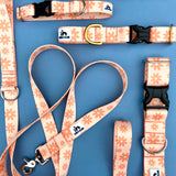 Spring 2022 Lake Life: May Flowers, daisy dog collar, Spring Dog Collar, Water Resistant Dog Collar, dog collar available in 3/4, 1" and 1.5"