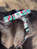 Dog Harness, H Shaped Dog Harness, Summer Dog Harness