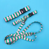Summer 2026 Striped Dog Collar, The Seasonal Edit, Pink and Green Striped Dog Collar (Copy)
