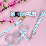 Spring 2025, Cherry Blossom Dog Collar, Spring Cherry Blossoms, Spring Dog Collar