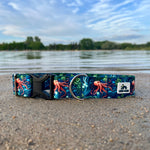 Marcellus the Octopus Dog Collar, LakeLife Summer 2024, Water Resistant Dog Collar, Octopus Dog Collar