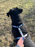 Dog Harness, H Shaped Dog Harness, Summer Dog Harness