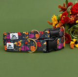 Autumn 2026 Floral Dog Collar, Autumn Wildflowers Dog Collar