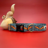 Squirrel Nemesis Dog Collar, Squirrel Dog Collar, Fall 2024 Dog Accessory