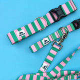 Summer 2026 Striped Dog Collar, The Seasonal Edit, Pink and Green Striped Dog Collar (Copy)