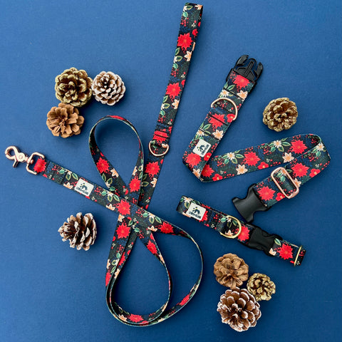 Christmas 2025 TUNDRA Collection - Frosted Florals, Winter Floral Dog Collar