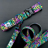 Rainbow Leopard Print Dog Collar, rainbow neon dog collar