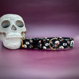 Skulls and Daisies Dog Collar, spooky Halloween dog collar, Fall 2024 dog collars