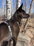 Dog Harness, H Shaped Dog Harness, Summer Dog Harness