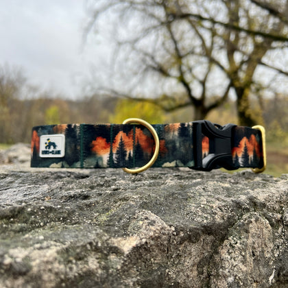 Autumn 2025 Forest in Autumn Dog Collar, Autumn Dog Collar, Scenery Dog Collar