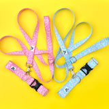 Sprinkle Doughnut Celebration Dog Collar, Water Resistant Dog Collar, Adventure Dog Collar