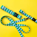 Summer 2026 Striped Dog Collar, The Seasonal Edit, Blue and Green Striped Dog Collar