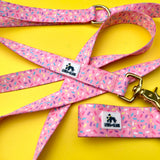 Sprinkle Doughnut Celebration Dog Collar, Water Resistant Dog Collar, Adventure Dog Collar