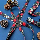 Christmas 2025 TUNDRA Collection - Frosted Florals, Winter Floral Dog Collar